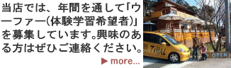 ���X�ł́A�N�Ԃ�ʂ��āu�E�[�t�@�[�i�̌��w�K��]�ҁj�v���W���Ă��܂��B�����̂�����͐��񂲘A���������B